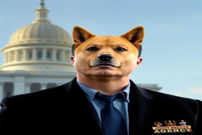 DOGE Transforms from Meme to Government Agency Under Musk