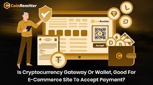 Secure CoinRemitter Crypto Wallet
